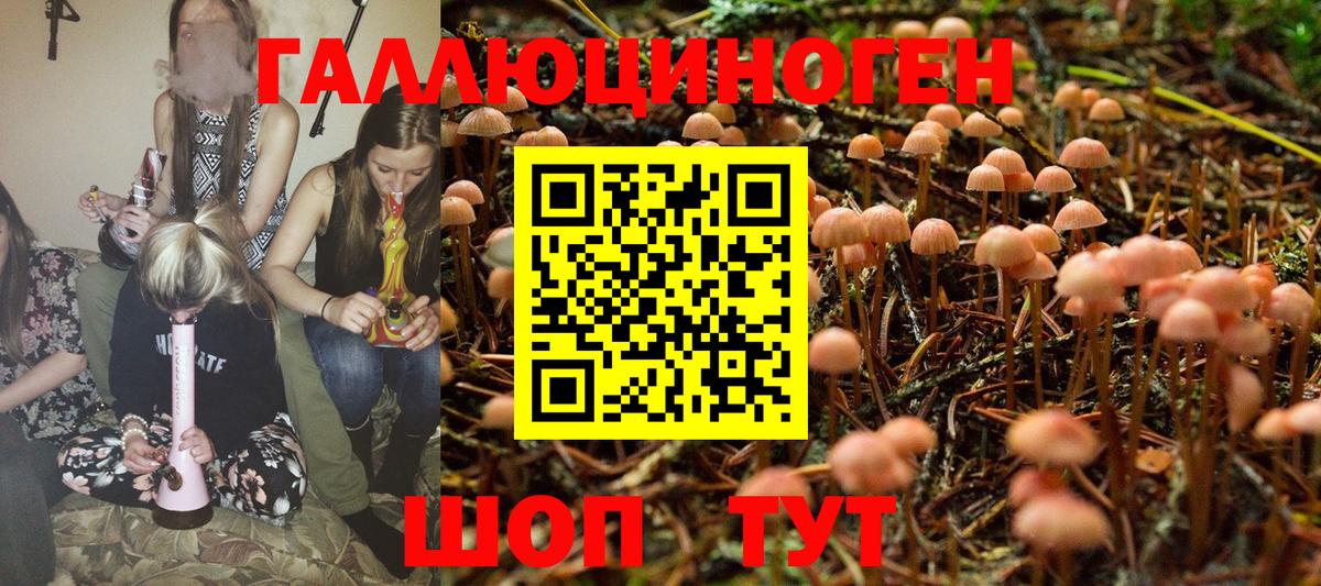 Надым  Галлюциногенные грибы Magic Shrooms  Галлюциногенные грибы мицелий  Вход с VPN 